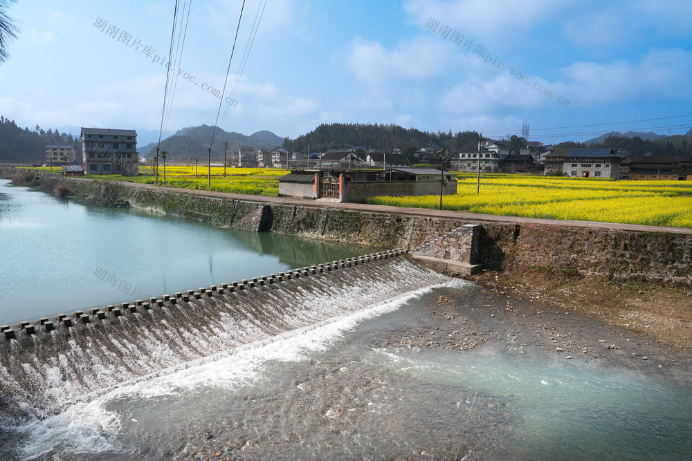 一江碧水  油菜花 侗族芦笙  美丽乡村