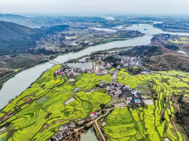 一江碧水
油菜花
道县
春色