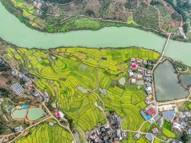 一江碧水
油菜花
道县
春色