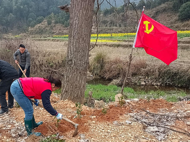 植树节 生态环境保护 守护地球村