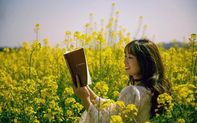 油菜花     游客      陶醉   打卡