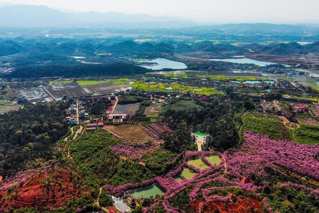 衡阳市  常宁  樱花园