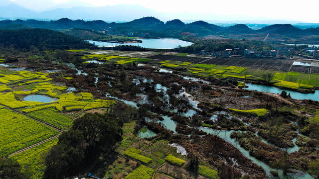 衡阳市  常宁  樱花园