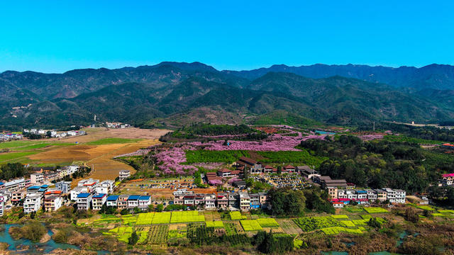 衡阳市  常宁  樱花园