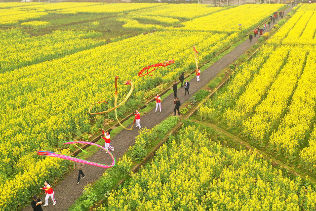 油菜花 衡阳县 春光 踏青赏花