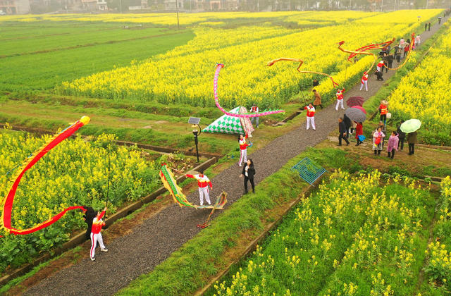 油菜花 衡阳县 春光 踏青赏花