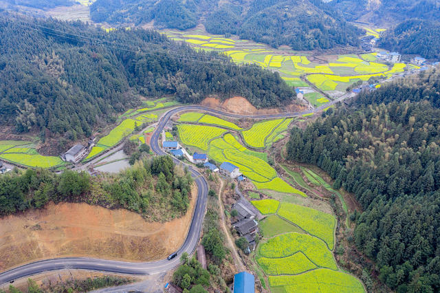 农村公路线上迷人春色
