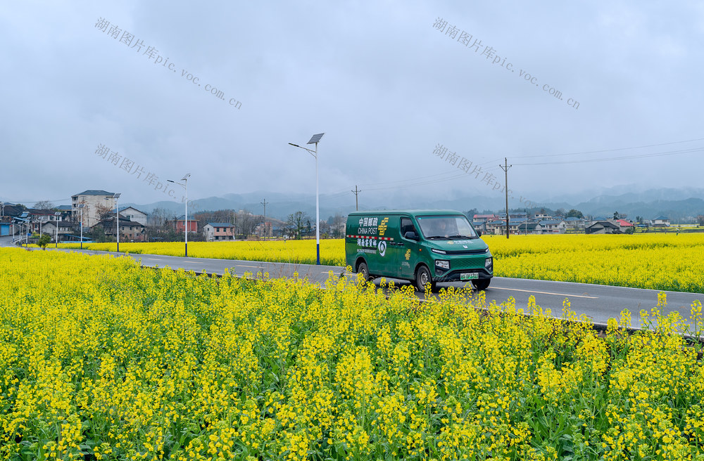 农村公路线上迷人春色