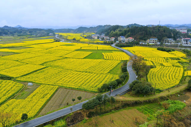 农村公路线上迷人春色