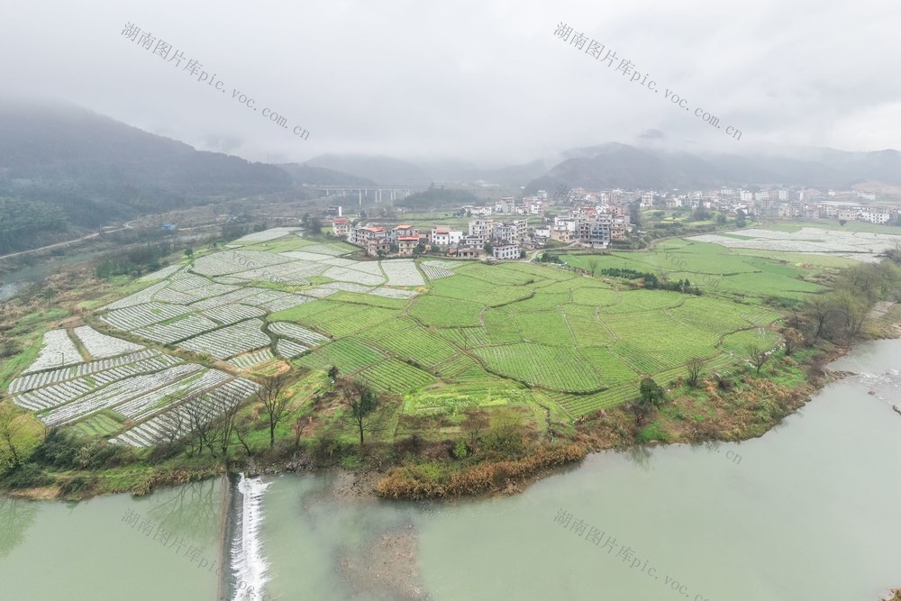 乡村 田园 生态 春天 农村