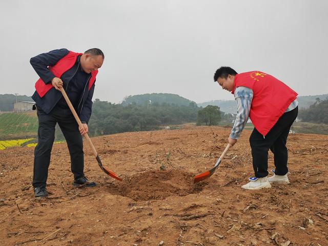 植树 生态文明建设