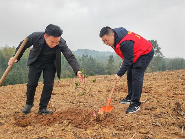 植树 生态文明建设