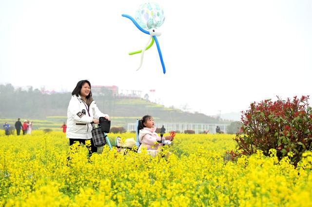 春天  油菜花  龙  旗袍  游客