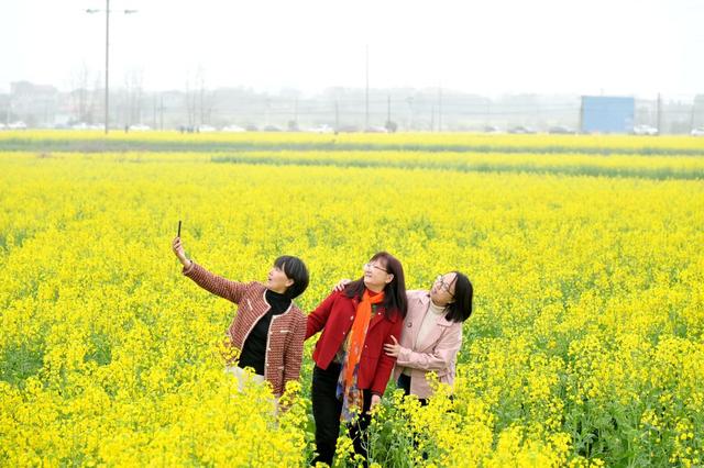 春天  油菜花  龙  旗袍  游客