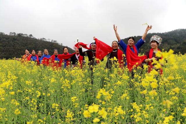 春景  花海
油菜花节
乡村振兴
乡村旅游