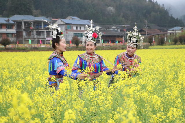 春景  花海
油菜花节
乡村振兴
乡村旅游