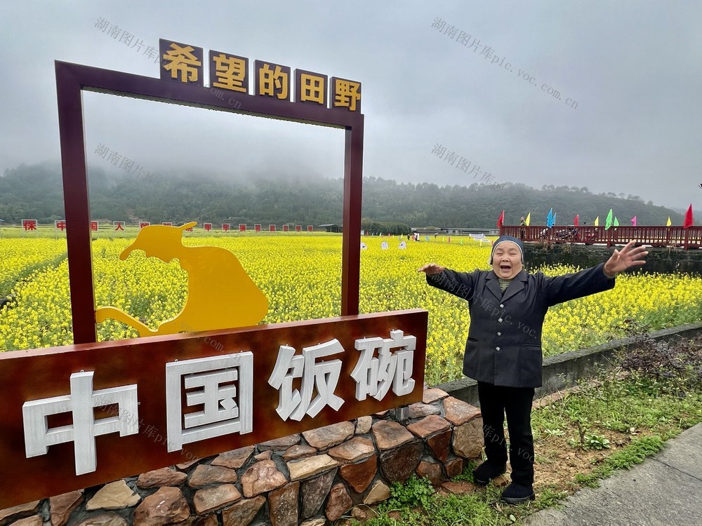 油菜花，春天里的浪漫
