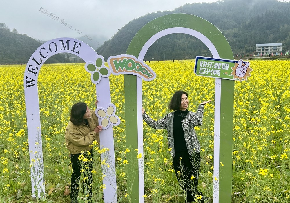 油菜花，春天里的浪漫
