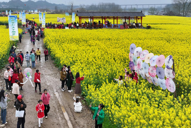 “花为媒”催热乡村游