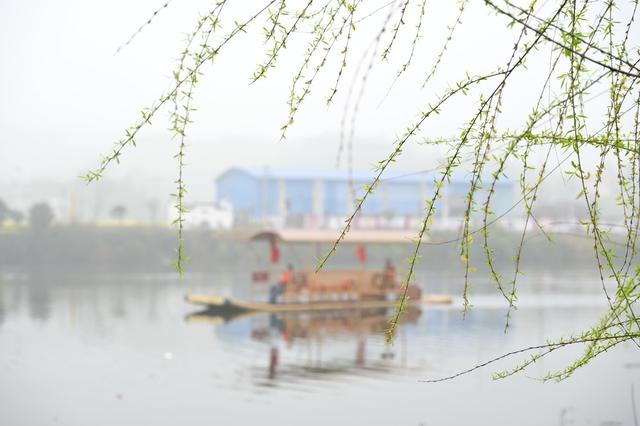 春分  烟雨  江南  花  柳树  踏青