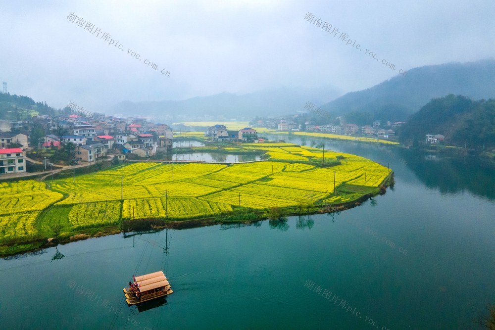 春分  烟雨  江南  花  柳树  踏青