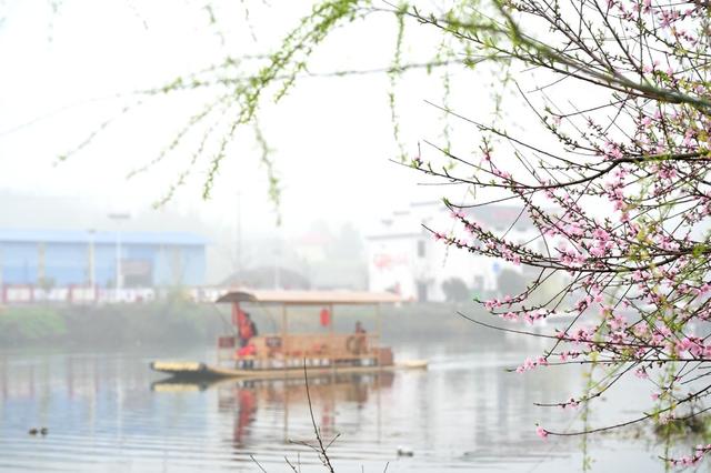 春分  烟雨  江南  花  柳树  踏青