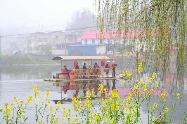 春分  烟雨  江南  花  柳树  踏青