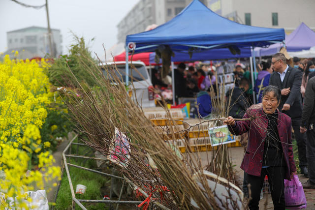 集市 农具 树苗 衡阳