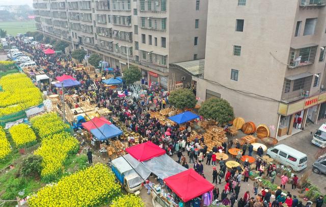 集市 农具 树苗 衡阳