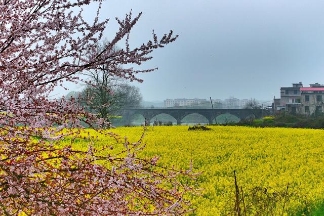 湖南  常宁  乡村  美景