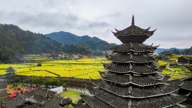 通道 侗族 乡村 游客 油菜 花海 游玩 赏花 拍照