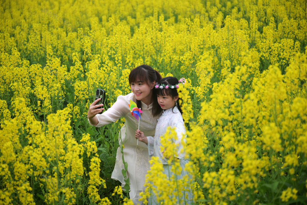 资兴 蓼江 油菜花 旅游节