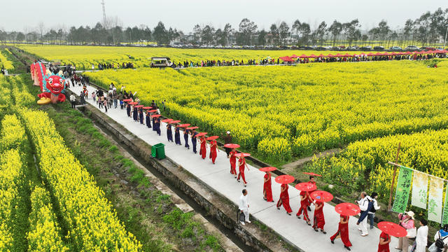 资兴 蓼江 油菜花 旅游节