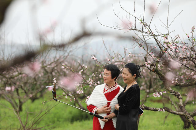 春花 踏春