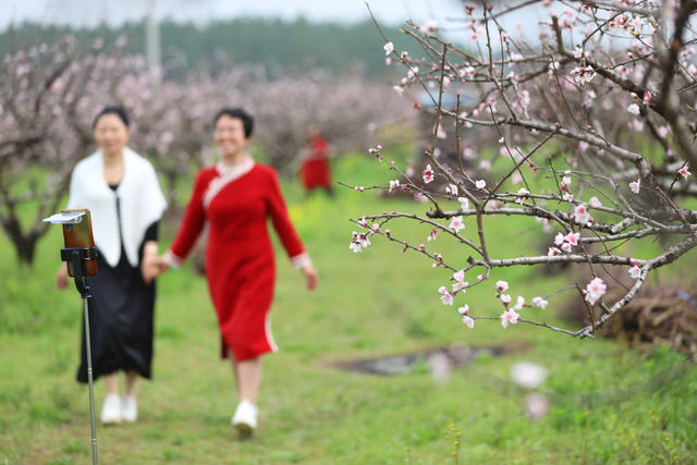 春花 踏春