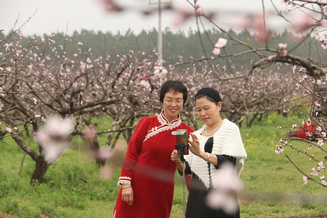 春游 春花 踏青赏花