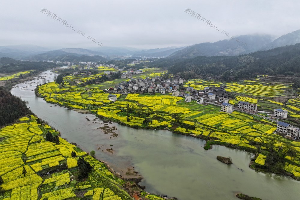 环境、生态、春天、油菜花、旅游