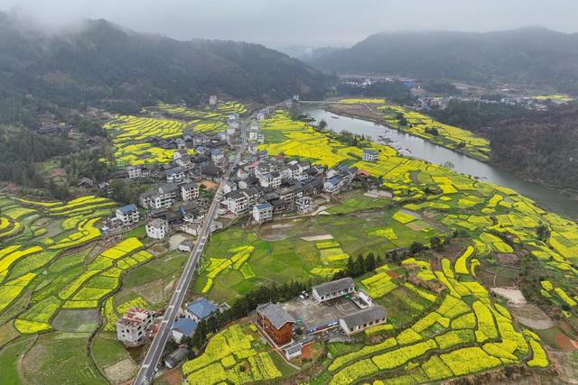 环境、生态、春天、油菜花、旅游