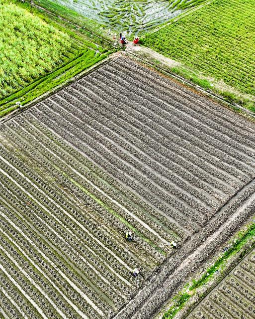 春耕
备耕
农事
田间地头