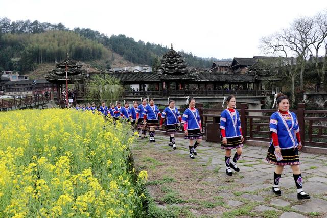 民俗风情
古侗寨
油菜花节