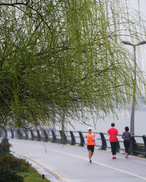浏阳河风光带，健身步道，春意浓