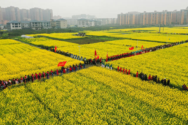 乡村旅游，油菜花节，民间艺术，文化活动