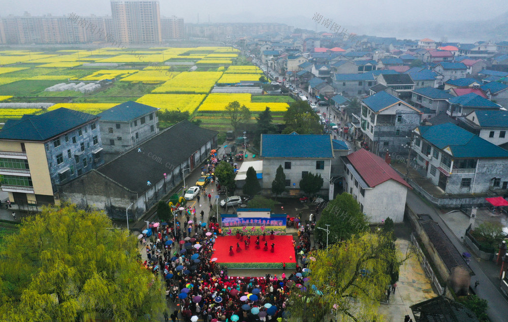 乡村旅游，油菜花节，民间艺术，文化活动