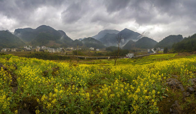 湖南,湘西,水墨,烟雨,云雾,油菜花,村庄