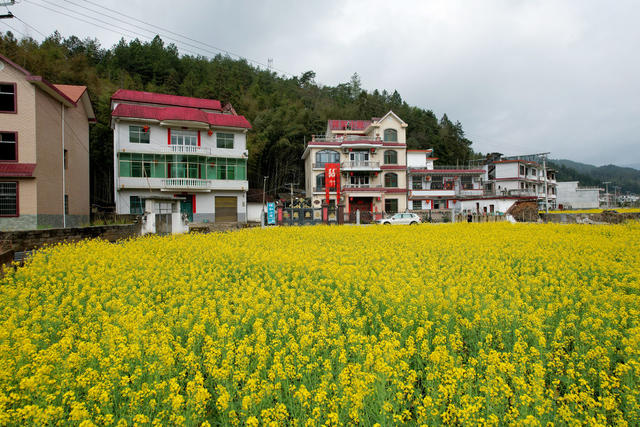 湖南桂东 新业态 靓 农村 民宿 村民 饭碗