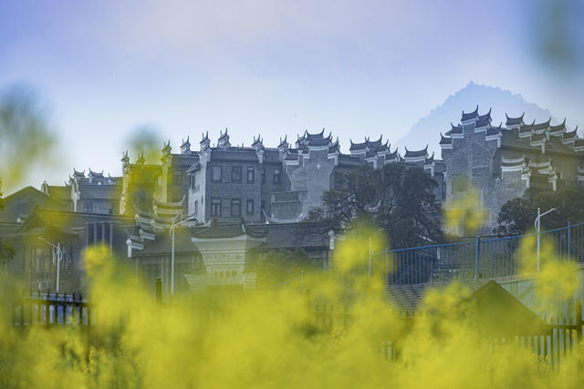 油菜花 东湖 长卷 苏仙 苏仙区 游客 风景 旅游 好玩 美景 好看 蓝天 植物 老爷爷