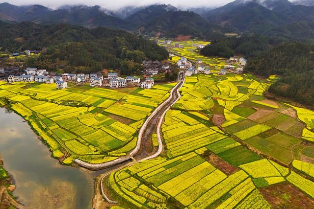 和美乡村、油菜花、乡村、生态、人居环境