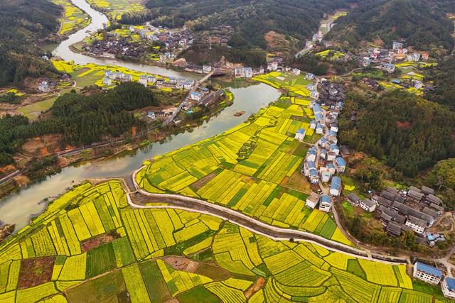 和美乡村、油菜花、乡村、生态、人居环境