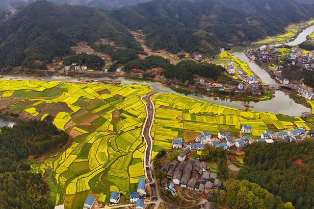 和美乡村、油菜花、乡村、生态、人居环境