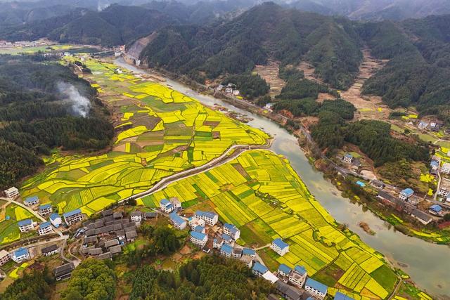 和美乡村、油菜花、乡村、生态、人居环境